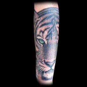 tiger forearm tattoo