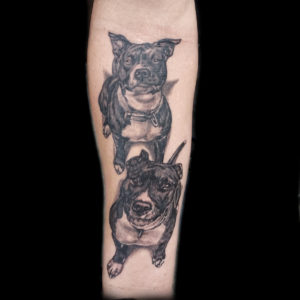 pitbull 3d tattoo pit bull