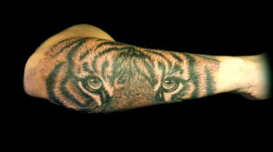 tiger eyes forearm tattoo