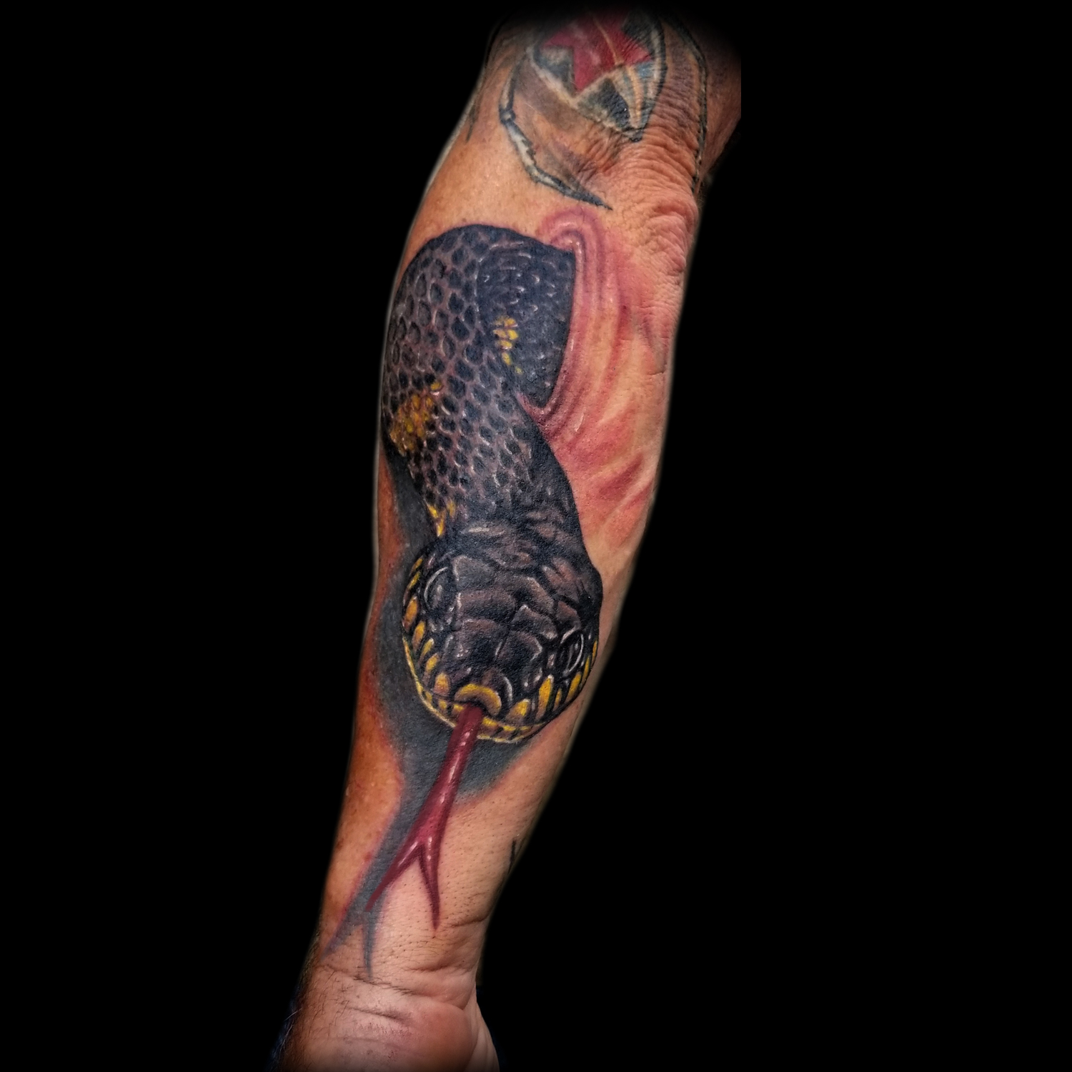 realistic 3d snake tattoo done in San Francisco at Masterpiece Tattoo