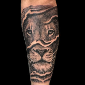 lion forearm tattoo