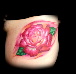 red pink white realistic 3d rose