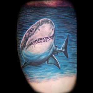 realistic color shark tattoo