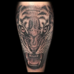tiger face tattoo black and grey
