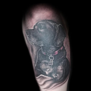 old dog tattoo