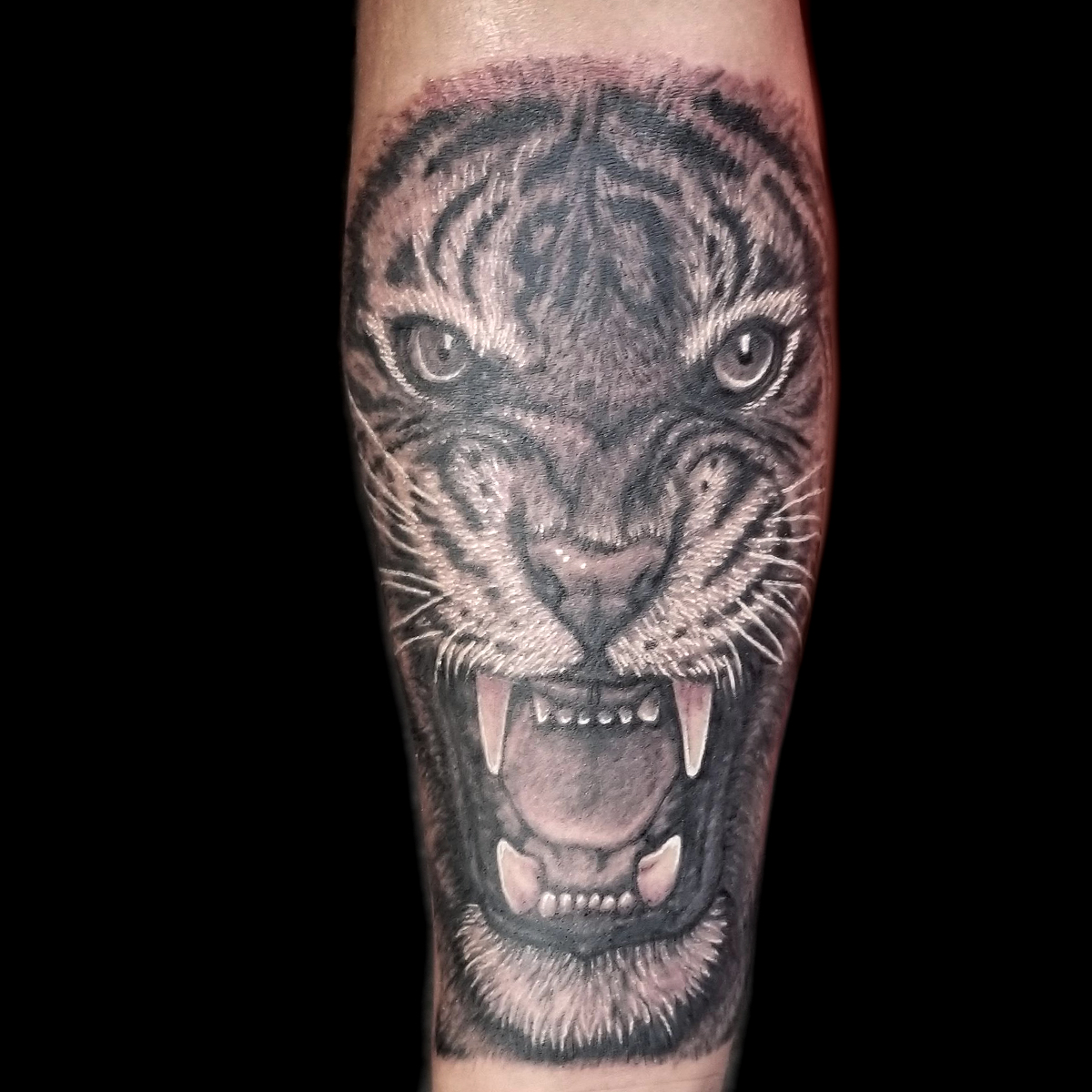 realistic tiger tattoo done at Masterpiece Tattoo in San Francisco