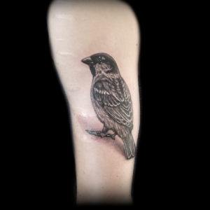 bird 3d tattoo sparrow