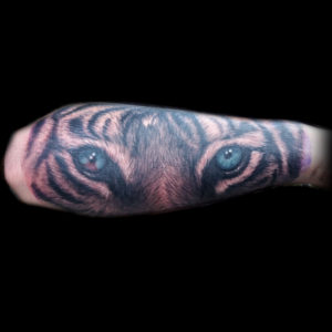 blue tiger eyes tattoo