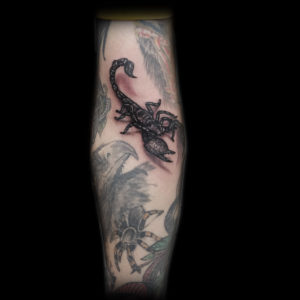 3d scorpion arm tattoo