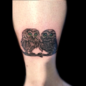 baby owls tattoo