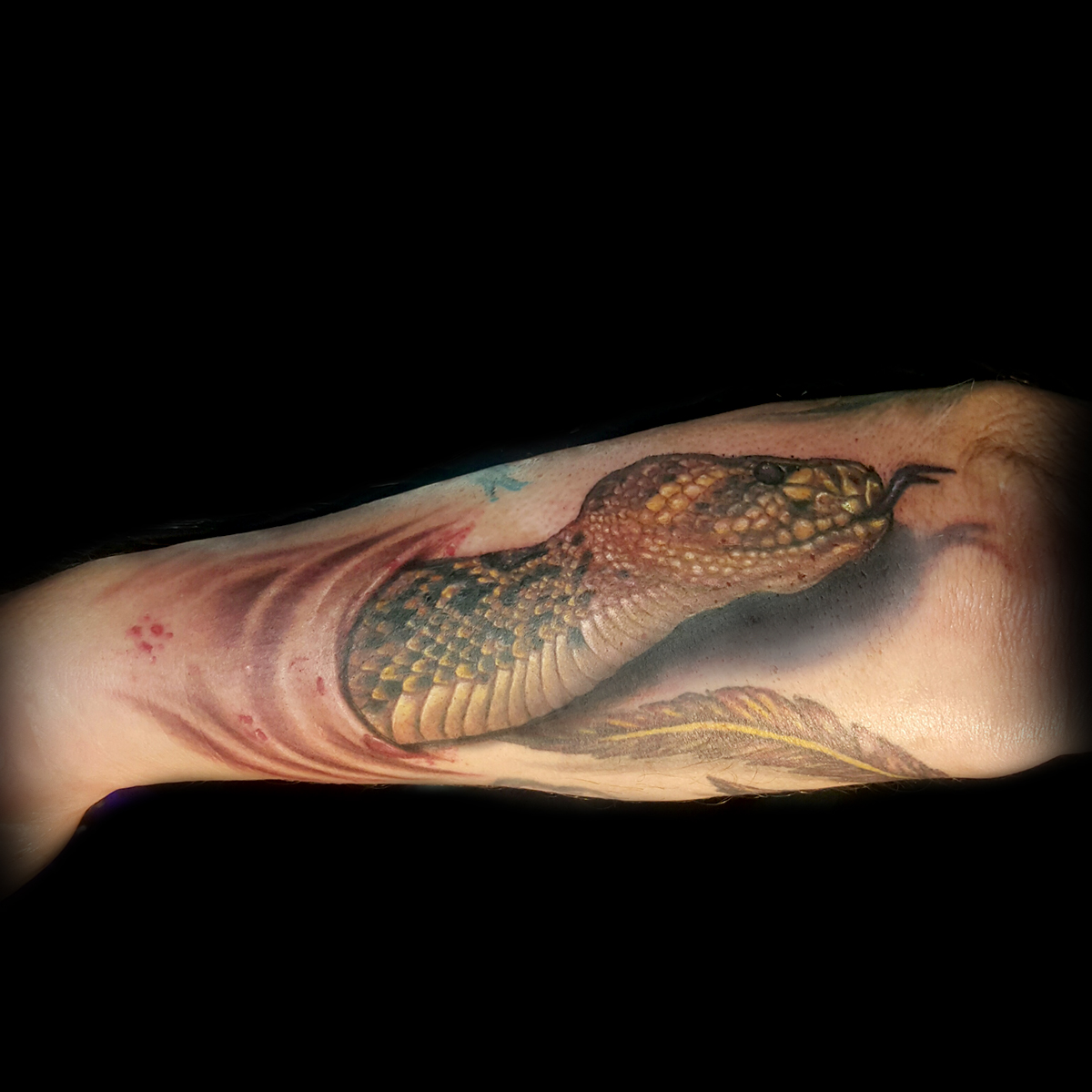 realistic 3d snake tattoo done in San Francisco at Masterpiece Tattoo