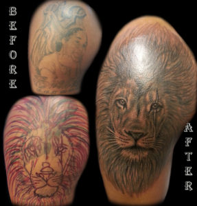 lion cover up