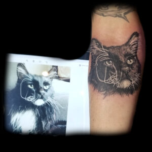 cat portrait tattoo