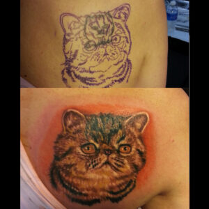 cat cover up tattoo